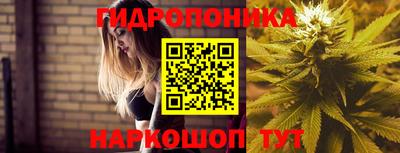 стафф Краснокаменск