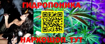 стафф Краснокаменск