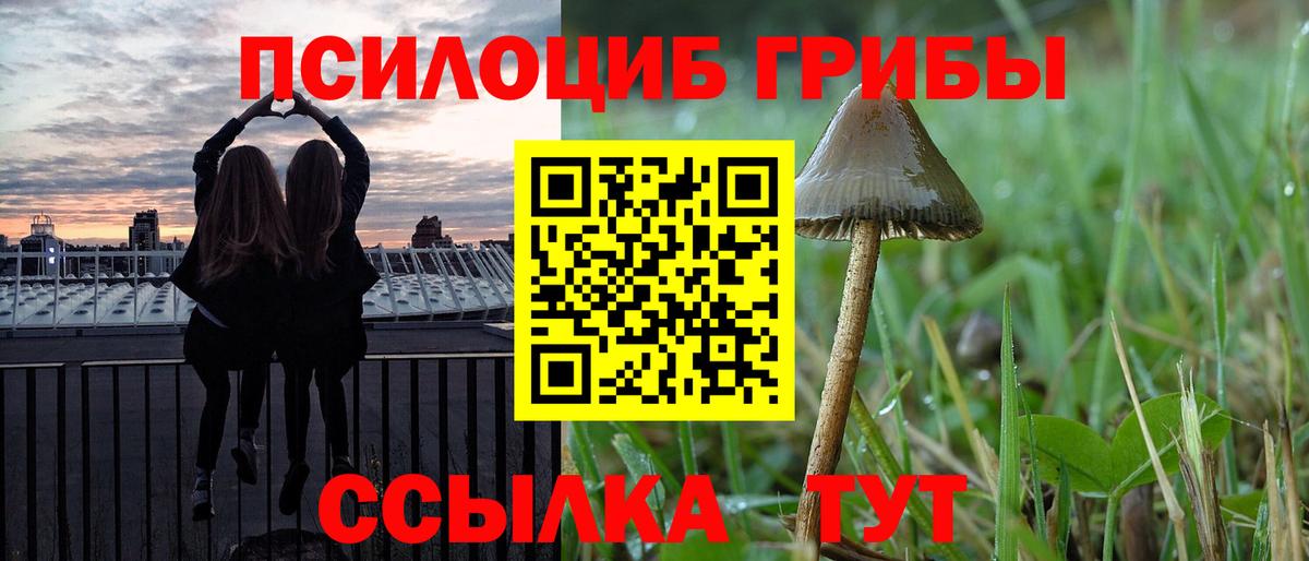 Псилоцибиновые грибы GOLDEN TEACHER Златоуст